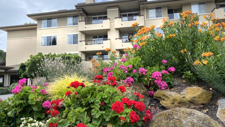 Smith Ranch Homes - Condominum With Flowers